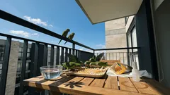 Cómo atraer cotorras a tu patio en febrero con maíz: el error común que debes evitar