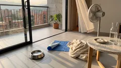 Dónde nunca debe dormir tu gato en una ola de calor y qué hacer para evitar un golpe de calor