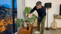 Cómo darle brillo natural a tus plantas de interior en invierno sin usar sprays