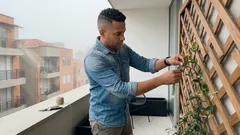 Cómo atar el jazmín para que trepe parejo y florezca más, sin lastimar los tallos