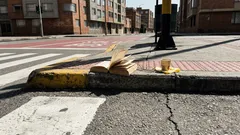 ¿Todo está escrito? La frase de Stephen Hawking que revela por qué miras antes de cruzar la calle