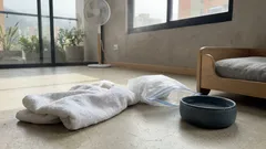 El truco de la toalla del congelador para que tu perro descanse mejor en días de calor