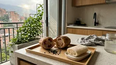 Cómo cultivar luffa en casa y convertir su fruto en una esponja vegetal (sin complicarte)