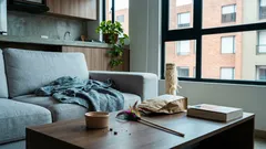 Qué significa cuando tu gato te mira fijo y mueve la cola: guía rápida para entenderlo