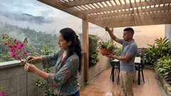 5 ideas fáciles para llenar tu patio de flores y cambiar el ambiente sin obras