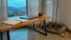 Estudiar con tu mascota puede bajar el estrés: lo que dice la ciencia de 10 minutos de caricias