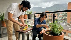 ¿Vas a botar la cáscara de limón? Pruébala así en tus materas y nota la diferencia