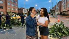 Árbol cae sobre taxi en Bogotá: qué pasó y por qué se paralizó la vía