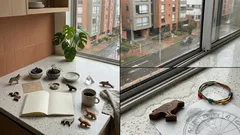 Qué animal therian va contigo según tu signo del zodiaco